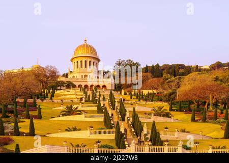 Sonnenaufgang Blick auf die Bahai Gärten und Schrein, in Haifa, Nord-Israel Stockfoto