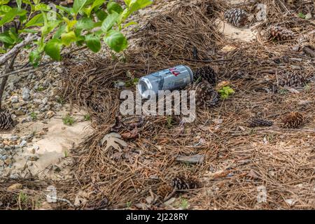 Ein Coors leichtes Bier kann auf dem Boden in der Nähe des Strandbereichs am See im Park weggeworfen werden, was die Umwelt an einem sonnigen Tag im Frühling verschmutzt Stockfoto