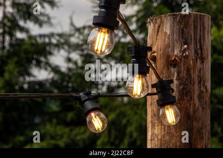 Abends hängen im Garten dekorative Lichterketten an Bäumen. Stockfoto