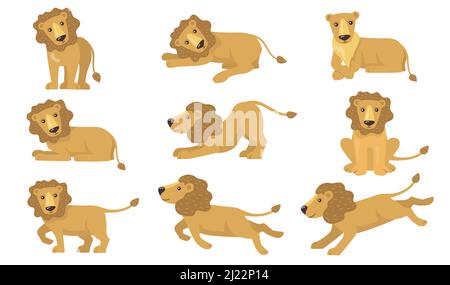 Cartoon Löwe Aktionen gesetzt. Lustiges gelbes Tier mit Schwanz stehen, liegen, spielen, laufen, jagen. Vektor-Illustration für Katze, Safari, Stolz, AFR Stock Vektor