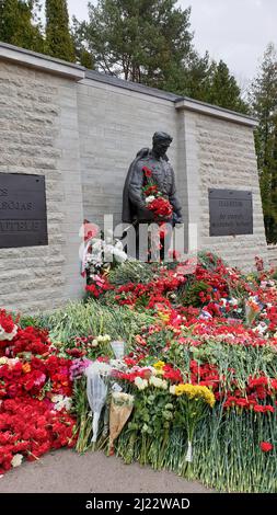 Tallinn, Estland - 9. Mai 2021: Bronze Soldat (est: Pronkssõdur) Denkmal. Veteranen der Roten Armee feiern den Victory Day mit roten Nelkenblumen Stockfoto