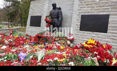 Tallinn, Estland - 9. Mai 2021: Bronze Soldat (est: Pronkssõdur) Denkmal. Veteranen der Roten Armee feiern den Victory Day mit roten Nelkenblumen Stockfoto