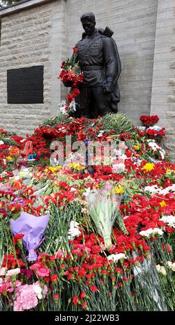 Tallinn, Estland - 9. Mai 2021: Bronze Soldat (est: Pronkssõdur) Denkmal. Veteranen der Roten Armee feiern den Victory Day mit roten Nelkenblumen Stockfoto