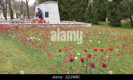 Tallinn, Estland - 9. Mai 2021: Bronze Soldat (est: Pronkssõdur) Denkmal. Veteranen der Roten Armee feiern den Victory Day mit roten Nelkenblumen Stockfoto