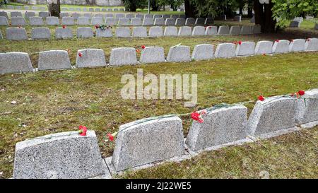 Tallinn, Estland - 9. Mai 2021: Bronze Soldat (est: Pronkssõdur) Denkmal. Veteranen der Roten Armee feiern den Victory Day mit roten Nelkenblumen Stockfoto