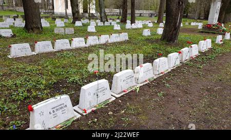 Tallinn, Estland - 9. Mai 2021: Bronze Soldat (est: Pronkssõdur) Denkmal. Veteranen der Roten Armee feiern den Victory Day mit roten Nelkenblumen Stockfoto