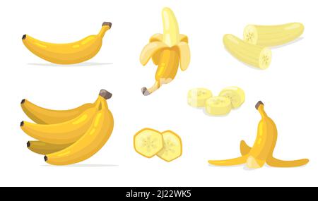 Verschiedene Bananenfrüchte flache Icon-Set. Cartoon exotische natürliche Dessert isoliert Vektor Illustration Sammlung. Tropische Pflanzen und gesunde Ernährung Konzept Stock Vektor