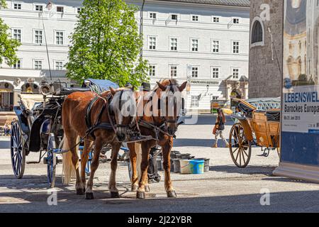 Salzburg, Österreich - 21. April 2015: Pferdekutschen sind bereit für touristische Ausritte in der Altstadt von Salzburg in Österreich. Stockfoto