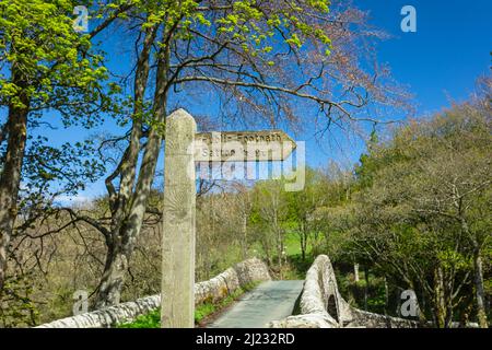 Öffentlicher Fußweg nach Satron, einem ländlichen Weiler in Swaledale, mit der Ivelet-Brücke aus dem 16.. Jahrhundert im Hintergrund. Frühling in den Yorkshire Dales wi Stockfoto