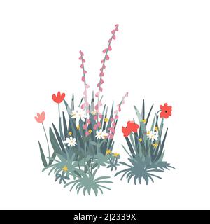 Frühling Garten Blumen isoliert gesetzt. Garten Blumenbeet und grünes Gras Pack auf weißem Hintergrund. Wildblumen Frühling und Sommer im Garten Stock Vektor
