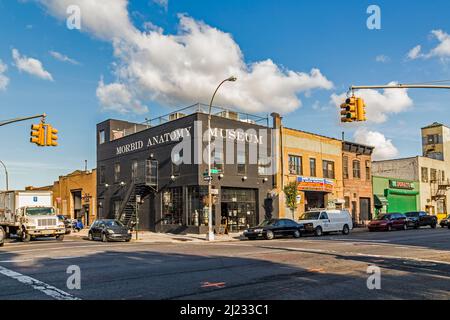 New York, USA - OCT 26, 2015: Außenansicht des Gebäudes des morbiden Anatomiemuseums in New York, Brooklyn. Stockfoto