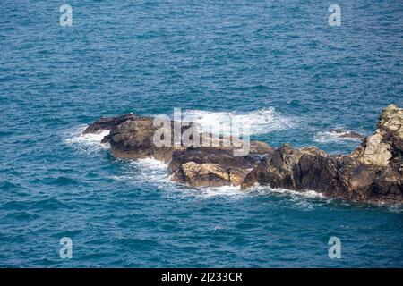 Blick auf die Felsen und die Keltische See von Godrevy, Cornwall, großbritannien Stockfoto