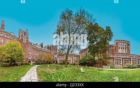 New Haven, USA - 27. Oktober 2015: Campus in der Yale University unter blauem Himmel. Stockfoto