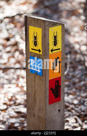 Hinweisschild auf Wanderweg, Urwald Urwald Sababurg, Hofgeismar, Weserbergland, Weserbergland, Hessen, Deutschland Stockfoto