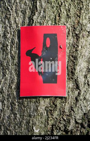 Hinweisschild auf Wanderweg, Urwald Urwald Sababurg, Hofgeismar, Weserbergland, Weserbergland, Hessen, Deutschland Stockfoto