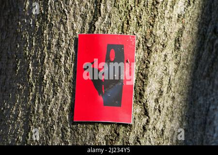 Hinweisschild auf Wanderweg, Urwald Urwald Sababurg, Hofgeismar, Weserbergland, Weserbergland, Hessen, Deutschland Stockfoto