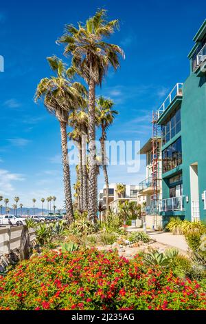 Eine Reihe von Häusern in Venice Beach, Los Angeles, Kalifornien, USA an einem sonnigen Tag. Stockfoto