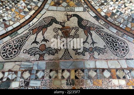 Italien, Venedig, Murano, Basilica dei Santi Maria e Donato um 1140, Mosaikfliesen, die Pfauen darstellen und im Boden eingelassen sind Stockfoto