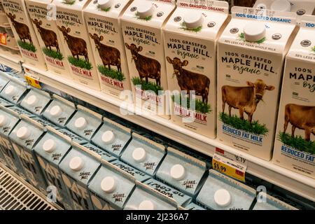 Die von Gras gefütterte Bio-Milch der Marke Maple Hill und ein pflanzenbasiertes Getränk auf Oatley-Basis wurden am Dienstag, den 22. März 2022, in einem Supermarkt in New York gekühlt. (© Richard B. Levine) Stockfoto