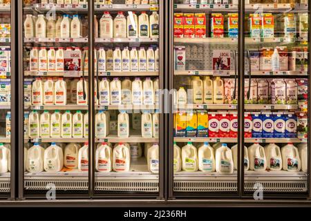 Eine große und abwechslungsreiche Auswahl an Milch in einem Supermarkt Kühler in New York am Montag, 28. März 2022. (© Richard B. Levine) Stockfoto