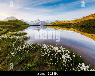 Toller Blick auf die Berner Bergkette oberhalb des Bachalpsees. Dramatische und malerische Szene. Beliebte Touristenattraktion. Ort Ort Schweizer alpen, Grindelwald Stockfoto