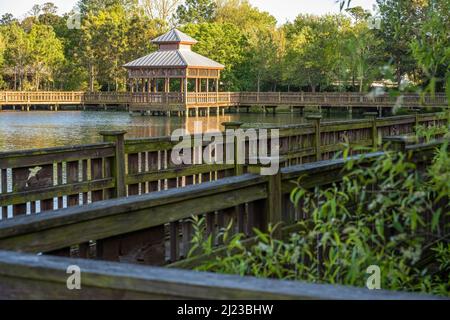 Holzsteg und Rookery Pavilion im Bird Island Park an der Florida State Road A1A in Ponte Vedra Beach, Florida. (USA) Stockfoto