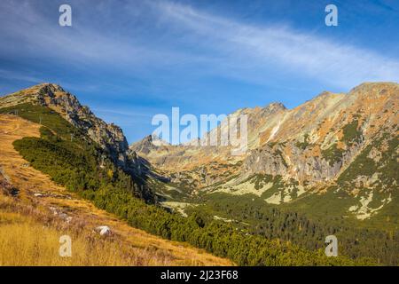 Das Mlynicka-Tal im Herbst. Nationalpark Hohe Tatra, Slowakei, Europa. Stockfoto