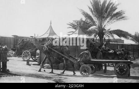 Ein Kamelkarren Karachi Stockfoto