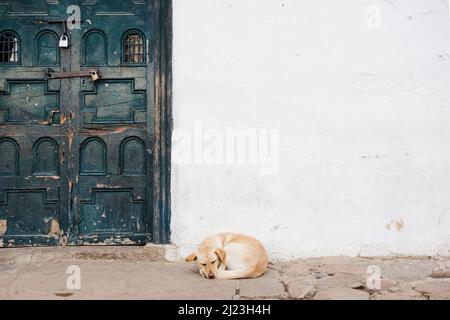 Hund schläft in ländlicher Stadt Stockfoto