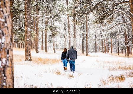 Mann und Frau gehen in einem verschneiten Kiefernwald von der Kamera weg Stockfoto