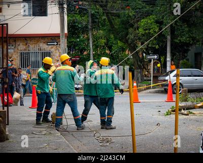 Medellin, Antioquia, Kolumbien - März 25 2022: Arbeiter in grünen Schutzanzügen und gelber Schutzkappe ziehen mit einem dicken Seil ein Holzholz Stockfoto