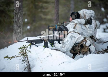 Flieger des 123. Special Tactics Squadron der Kentucky Air National Guard greifen während einer Hinterhalt-Übung in Grubbbnäsudden, Schweden, am 18. Januar 2022 Ziele an. 15 Mitglieder der STS von 123. – darunter Kampfkontrolleure; Paraskuemen; Spezialaufklärer; Durchsuchung, Ausweichmanöver, Widerstands- und Fluchttruppen sowie Unterstützung von Airmen – kamen hierher, um ihre Beziehung zu europäischen Partnern während eines Schulungskurses zum arktischen Krieg auszubauen. (USA Foto der Air National Guard von Phil Speck) Stockfoto