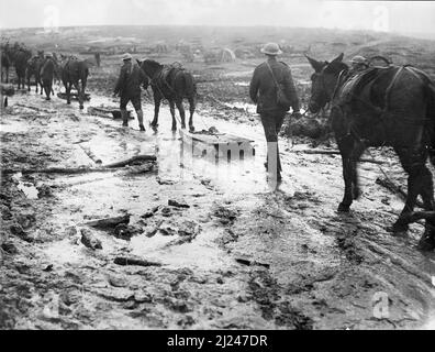 Schlitten, die normalerweise für die Beförderung von Verwundeten verwendet werden, werden von Pferden auf schlammigem Boden, infolge von schlechtem Wetter, in Le SARS, Pas de Calais an der Somme-Front, Oktober 1916, gezogen. Stockfoto