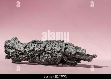 Rosa Hintergrund für kosmetische Produktpräsentation mit Schatten von der Sonne. Hintergrund mit Rindenbaum, Display, Nachbau für Produktfotografie. Stockfoto