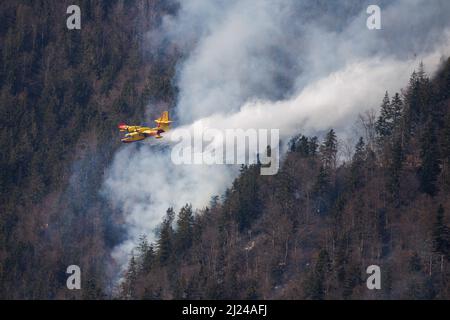 Preddvor, Slovenia, 29/03/2022, Ein kroatisches Canadair CL-415-Löschflugzeug stürzt bei einem Waldbrand in der Nähe von Preddvor Wasser ab, nachdem es zur Unterstützung der slowenischen Feuerwehrleute eingesetzt wurde. Die Ursache eines der größten Waldbrände in Slowenien ist nicht bekannt, aber die anhaltende Dürre im Land trägt dazu bei, dass es sich ausbreitet und unvermindert weitergeht. Am 28. März brach in den Hügeln über Preddvor, Slowenien, ein großes Waldfeuer aus, das sich immer weiter ausbreitet. Da Slowenien über kein Löschflugzeug verfügt, schickte das benachbarte Kroatien ein Canadair-Löschflugzeug, um den slowenischen Feuerwehrleuten zu helfen. Das Feuer wüt Stockfoto