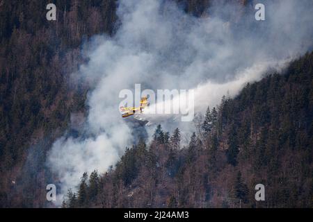 Ein kroatisches Canadair CL-415-Löschflugzeug wirft bei einem Waldbrand in der Nähe von Preddvor Wasser ab, nachdem es zur Unterstützung der slowenischen Feuerwehrleute eingesetzt wurde. Die Ursache eines der größten Waldbrände in Slowenien ist nicht bekannt, aber die anhaltende Dürre im Land trägt dazu bei, dass es sich ausbreitet und unvermindert weitergeht. Am 28. März brach in den Hügeln über Preddvor, Slowenien, ein großes Waldfeuer aus, das sich immer weiter ausbreitet. Da Slowenien über kein Löschflugzeug verfügt, schickte das benachbarte Kroatien ein Canadair-Löschflugzeug, um den slowenischen Feuerwehrleuten zu helfen. Das Feuer wütet weiter wegen des schweren Dürrens Stockfoto