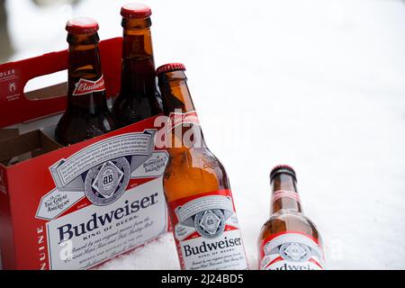 Marinette,WI,USA -Dec1-2021: Ein Outdoor-Händler verkauft Budweiser Bier gekühlt auf einem Tisch mit viel Schnee. Flaschen Bud-Bier, ein blasser amerikanischer Stil Stockfoto