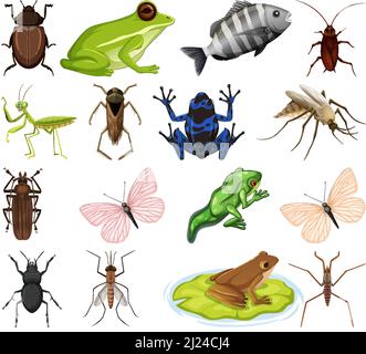 Verschiedene Arten von Insekten und Tieren auf weißem Hintergrund Illustration Stock Vektor