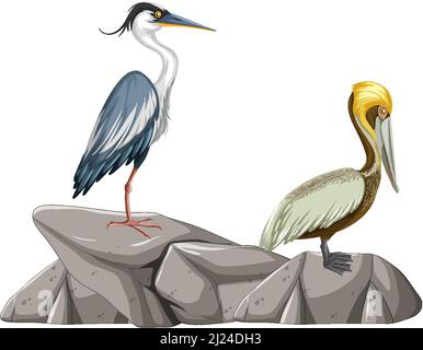 Zwei Vögel stehen auf der Felsdarstellung Stock Vektor