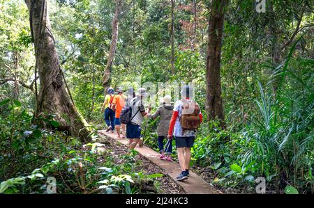 Kon Chu Rang Nature Reserve, Gia Lai Province, Vietnam, 6. März 2022: Touristen wandern durch den Wald, um den Regenwald in Kon Chu Ra zu erkunden Stockfoto