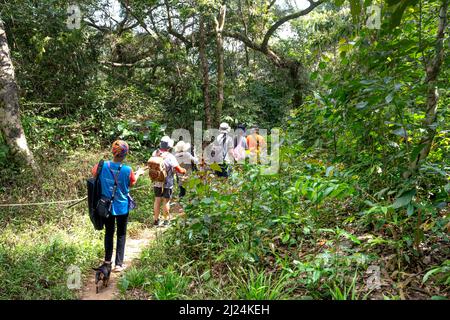Kon Chu Rang Nature Reserve, Gia Lai Province, Vietnam, 6. März 2022: Touristen wandern durch den Wald, um den Regenwald in Kon Chu Ra zu erkunden Stockfoto