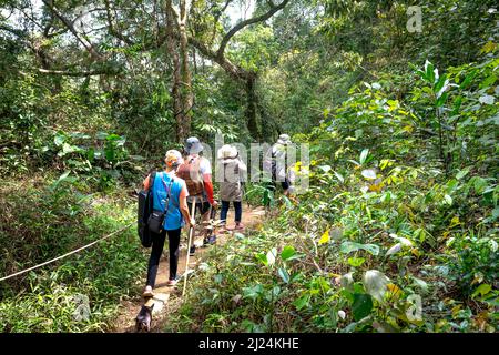 Kon Chu Rang Nature Reserve, Gia Lai Province, Vietnam, 6. März 2022: Touristen wandern durch den Wald, um den Regenwald in Kon Chu Ra zu erkunden Stockfoto