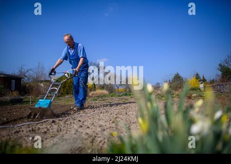 28. März 2022, Sachsen-Anhalt, Schönebeck: Ein Mitglied des Gartenbauverbandes Gartenidylle pflügt auf seinem Grundstück ein Bett. Der Zuteilungsgartenverband aus Sachsen-Anhalt ist einer von zwei Verbänden, die die Endrunde des Bundeswettbewerbs „Gärten in Stadtentwicklung“ 25. erreicht haben. Sie müssten sich nun bei einem Besuch vor Ort der kritischen Jury stellen. Die siebenköpfige evaluierungskommission besucht am 25. Juni die Schrebergartenverbände in Sachsen-Anhalt. Insgesamt wird der Ausschuss zwischen Juni 24 und Juli 4 durch 14 Bundesländer reisen, um sich 22 Zuteilung gard anzusehen Stockfoto