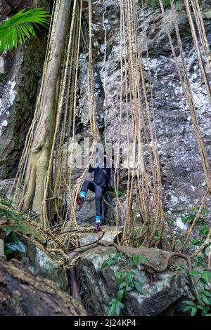 Kon Chu Rang Nature Reserve, Gia Lai Province, Vietnam, 6. März 2022: Touristen wandern durch den Wald, um den Regenwald in Kon Chu Ra zu erkunden Stockfoto