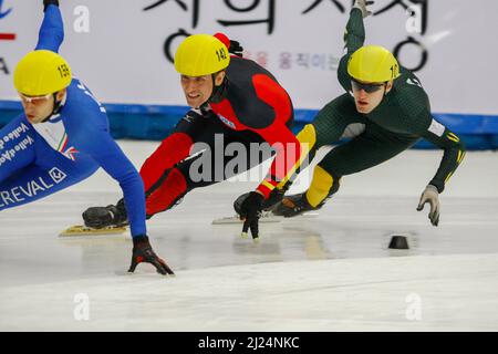 Sep 25, 2009-Seoul, Südkorea-Praus Sebastian, Mitte, der Deutschen, tritt am 25. September 2009 in Seoul, Südkorea, bei den Herren-1000-Meter-Läufen der ISU World Cup Short Track Speed Skating Championships 2009 an. Stockfoto