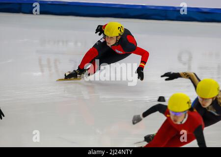 Sep 25, 2009-Seoul, Südkorea-Riedel Julia, Mitte, der Deutschen, tritt am 25. September 3000 2009 in Seoul, Südkorea, im Damen-Viertelfinale der ISU World Cup Short Track Speed Skating Championships 2009 an. Stockfoto