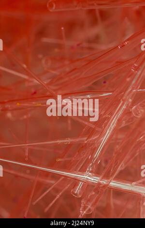 Viele Pipettenspitzen aus Glas mit rotem Hintergrund in einem Labor Stockfoto