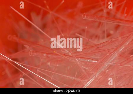 Schließen Sie viele Pipettenspitzen aus Glas in einem roten Abfallbehälter Stockfoto