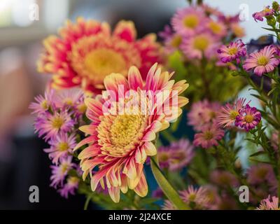 Helle lebendige bunte Blumen in einem Haufen oder posy, Blumengeburtstag Geschenk, frisch und schön Stockfoto