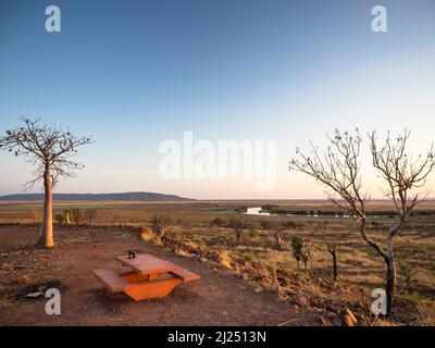 Boab Tree (Adansonia gregorii) und Picknicktisch auf dem Telegraph Hill. . East Kimberley Stockfoto